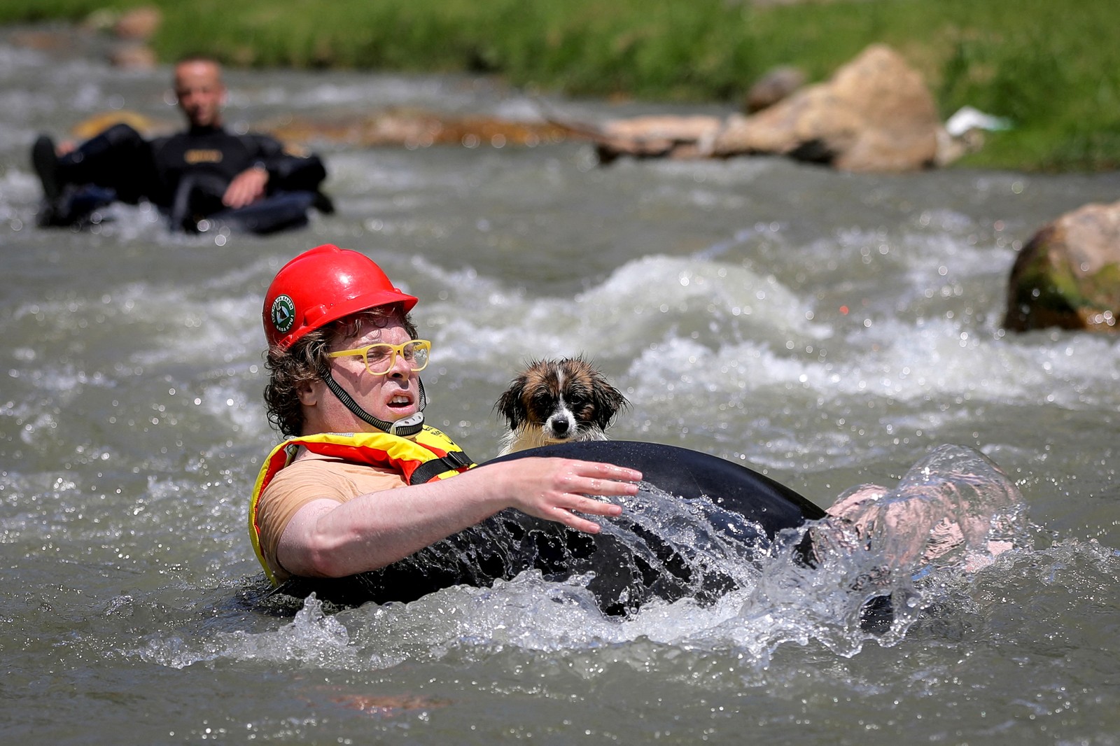 A person rides in an innertube, floating down a river with a small dog on their lap.