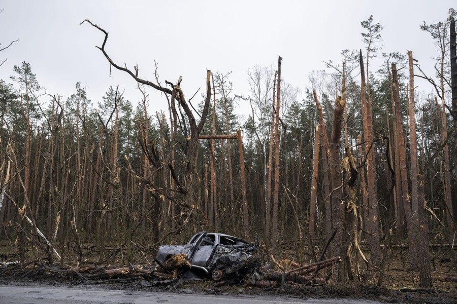 The gutted remains of a car sits in front of damaged trees following a battle.