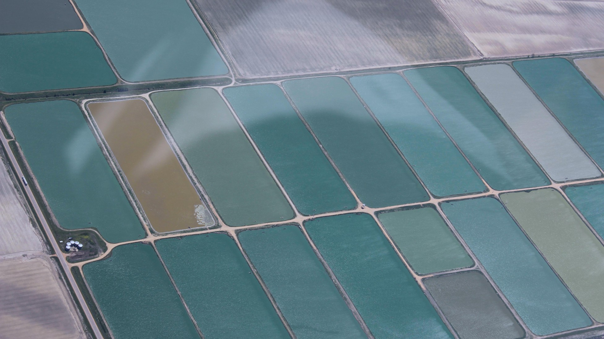 What Mississippi Catfish Farms Look Like From Above The Atlantic