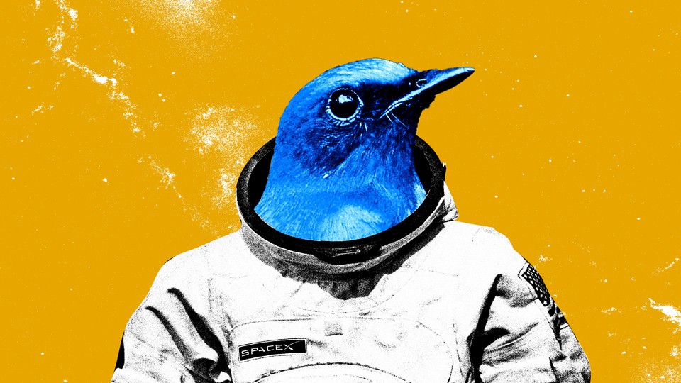 An illustration of a blue bird—representing Twitter's mascot—wearing a spacesuit
