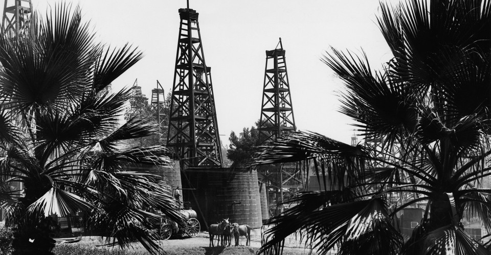 What Extremely Muscular Horses Teach Us About Climate Change - The Atlantic