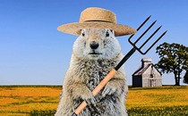 a gopher stylized to resemble the American Gothic painting