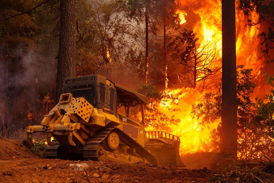 A bulldozer operates in a forest with burning trees all around.