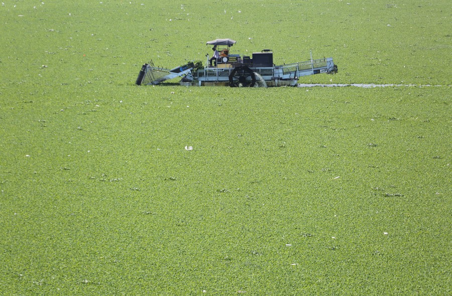 Photos of the Week Wax Queen, Desert Blooms, Explosive Jack The Atlantic