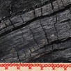 a closeup black and white image of bark, with a cross-stitched border at the bottom