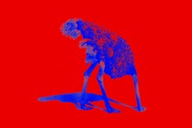 Illustration of an ostrich putting its head in the sand