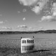 A photo of a Trump placard standing in an empty farm field.