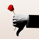 Illustration of a hand making the thumbs-down gesture while holding a rose