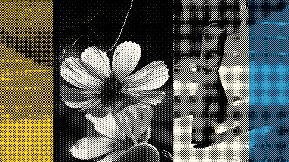 Images of a sidewalk, a flower, and a person walking