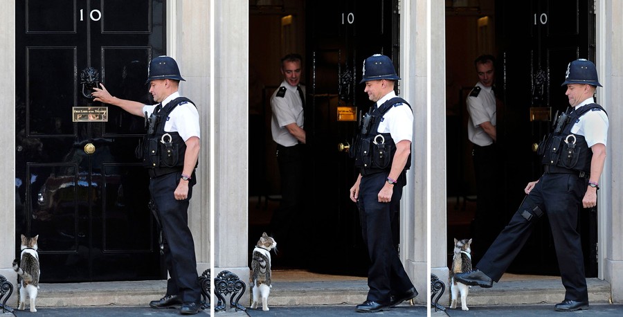 A series of three photographs show a police officer knocking on a door beside a cat, the door being opened—and the cat refusing to enter. Then the police officer gives the cat a nudge with his toe.
