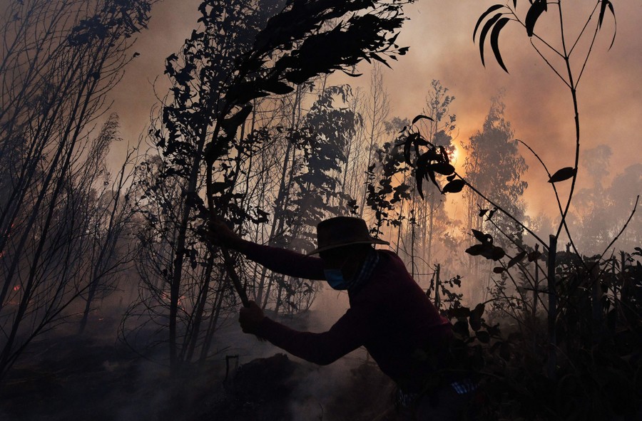 A person uses branches to fight a bushfire.
