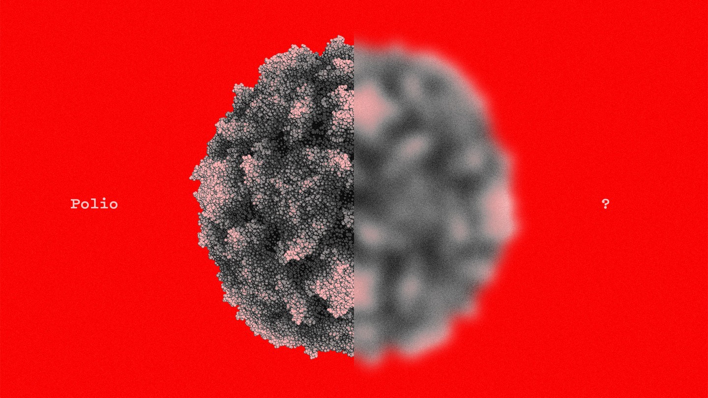 an illustration of the polio virus, with its right half blurred