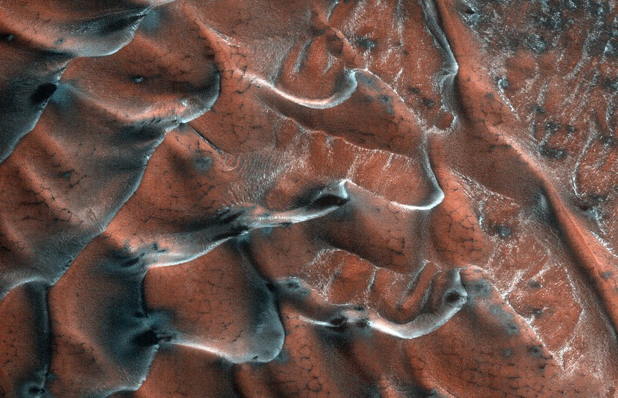 Frost lines the edges and shadows of several Martian sand dunes.