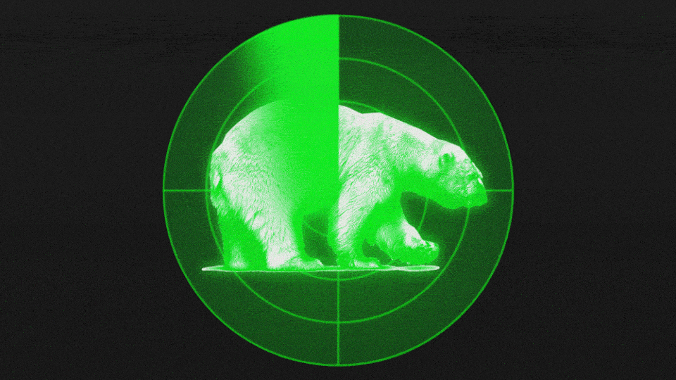 A radar scanner with a polar bear pictured inside