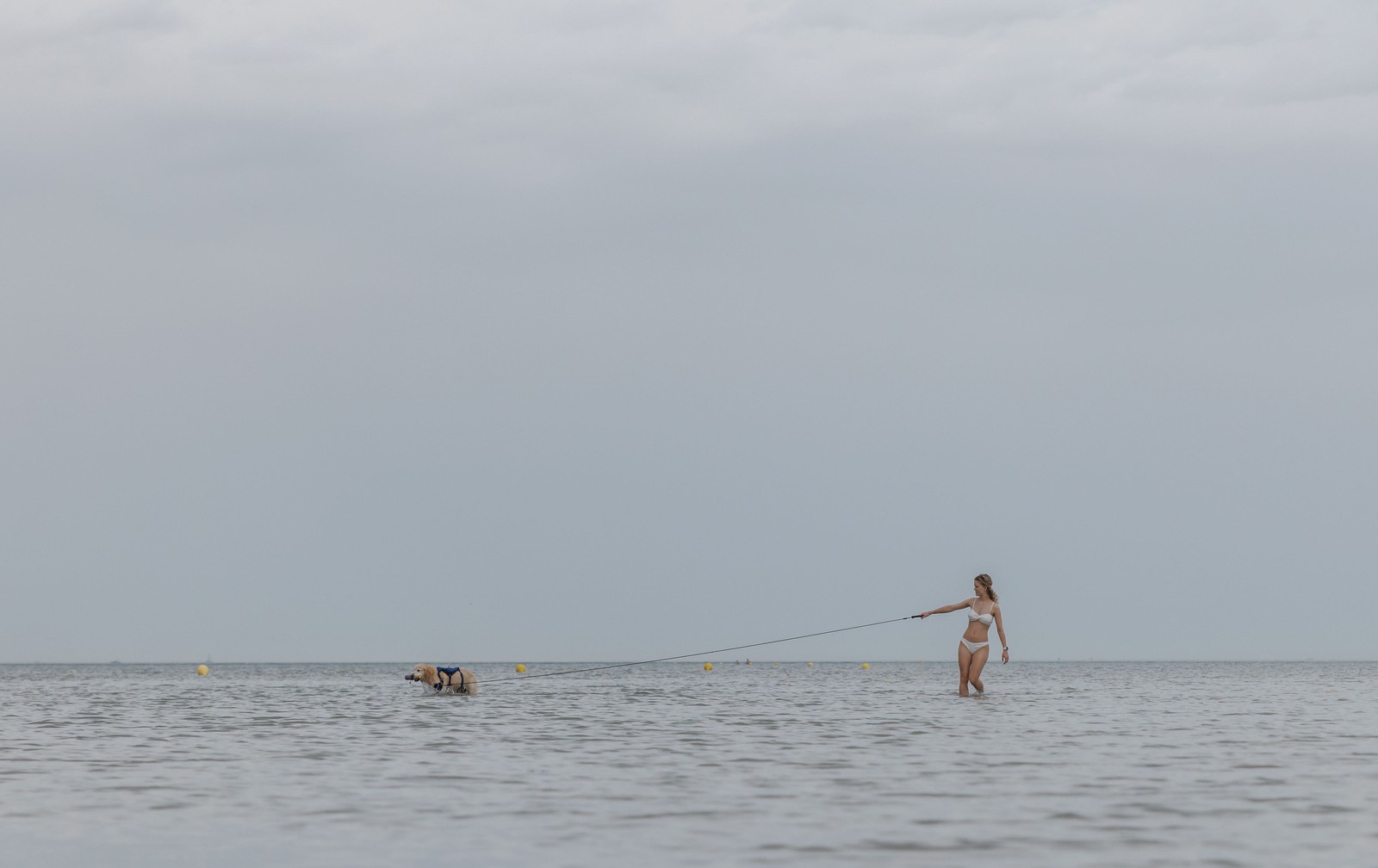 A person holds their dog on a long leash while walking in very shallow seawater.