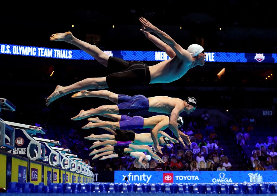 Swimmers dive at the start of a race.