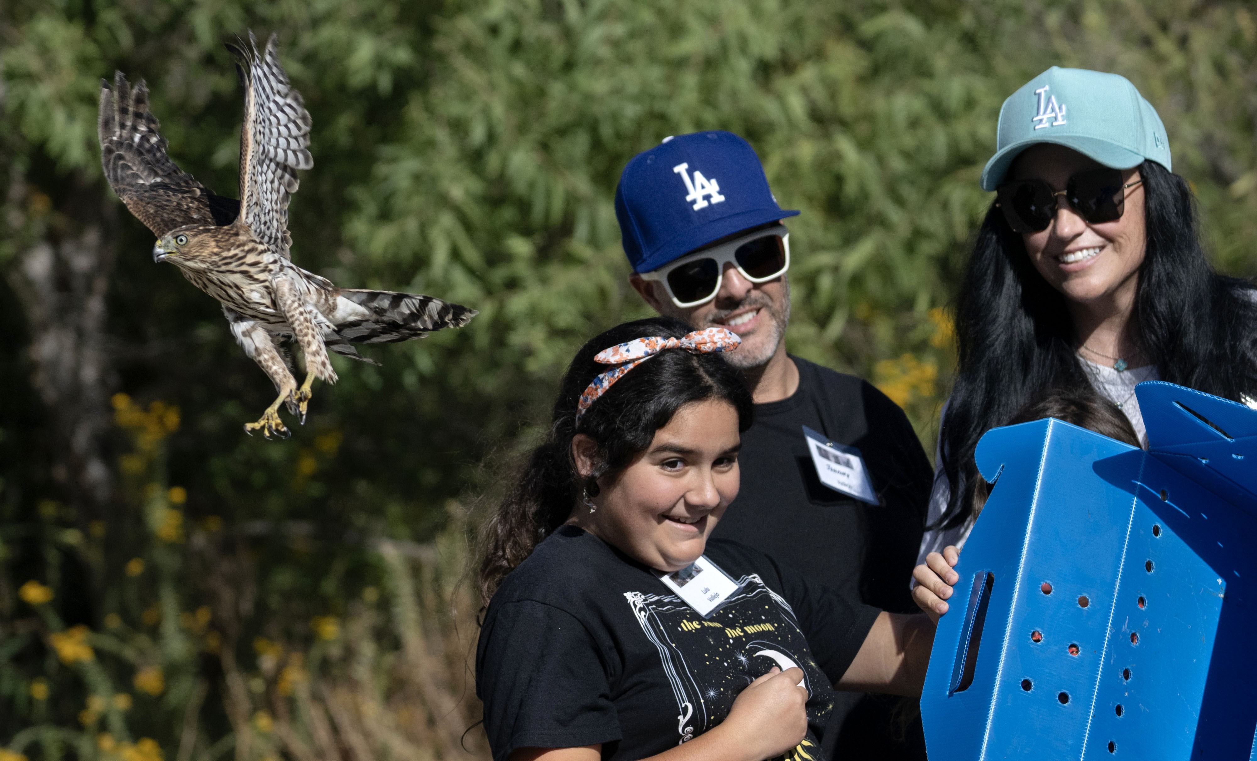 Three people smile as a hawk flies away after they released it.