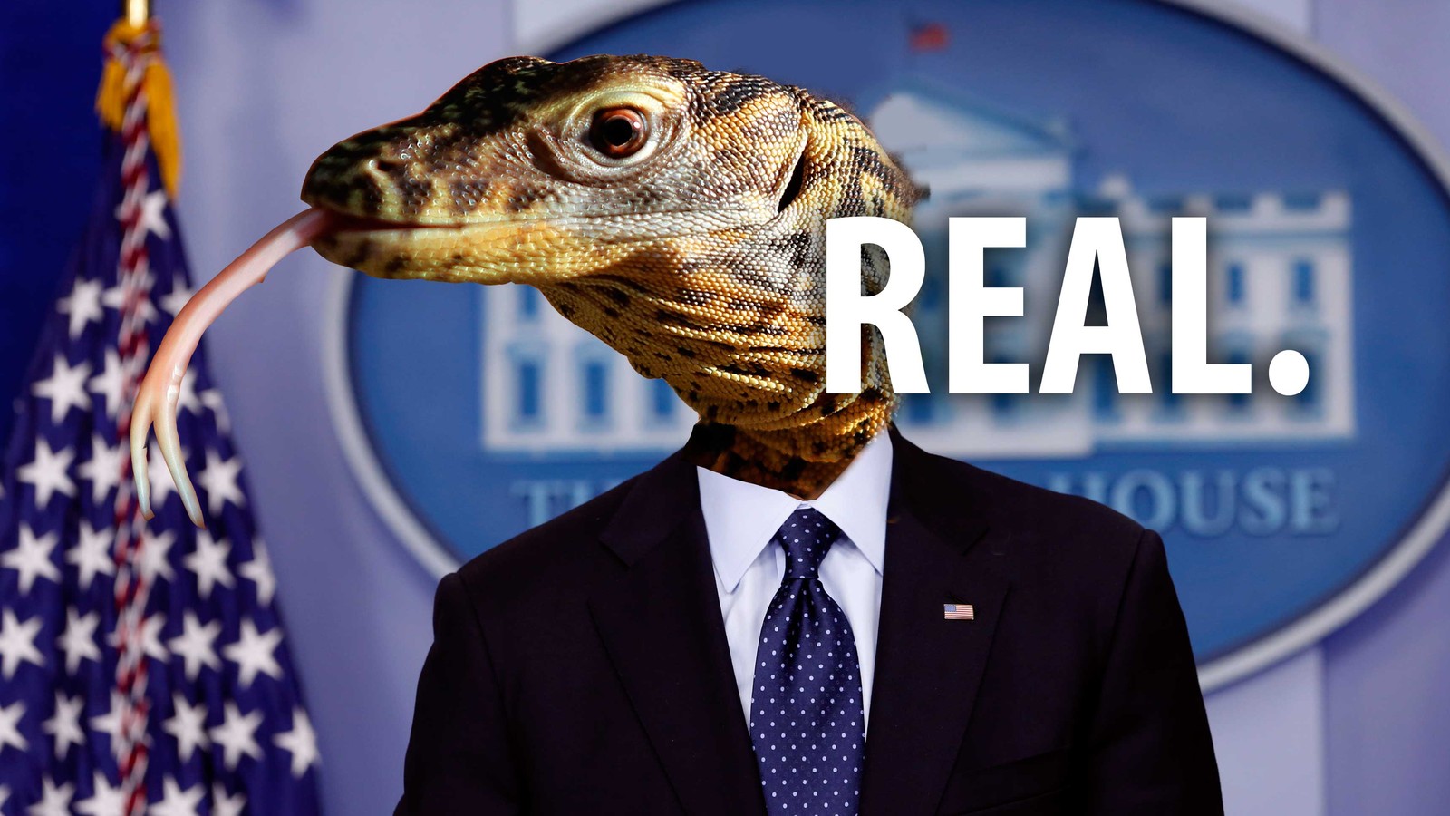 real reptilian proof