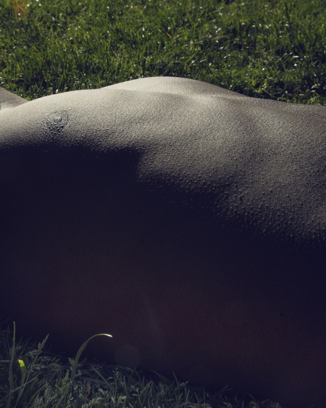 The torso of a shirtless person lying in the grass