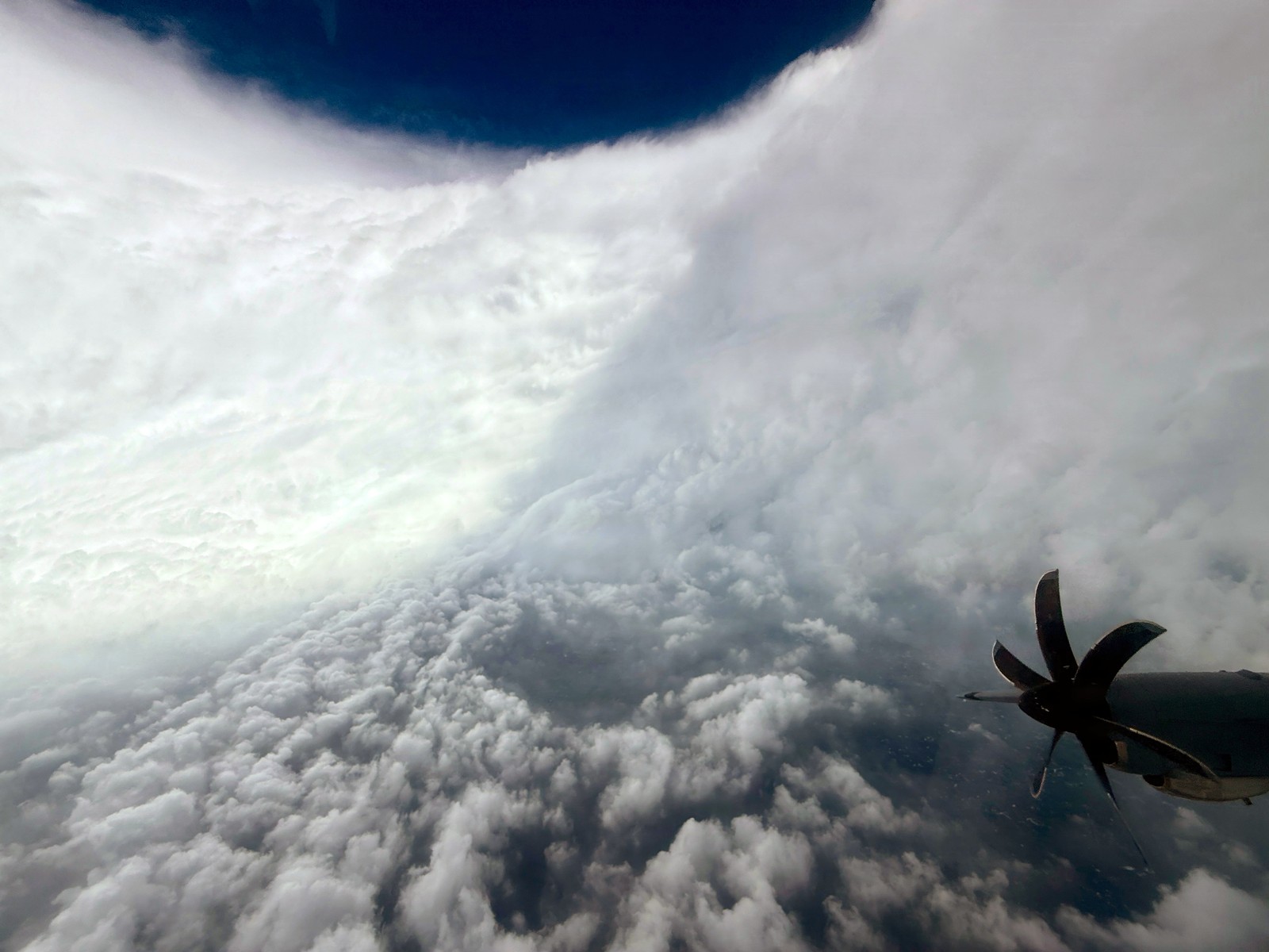 A view from an airplane of the interior of the eye of a hurricane—an empty space surrounded by massive curved walls of swirling clouds