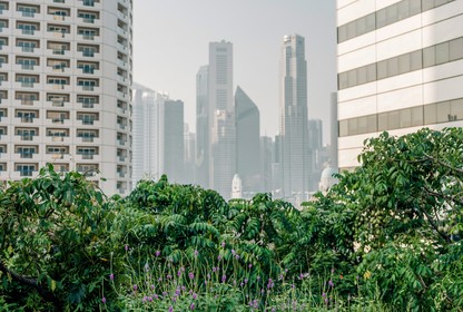 A green roof in Singapore
