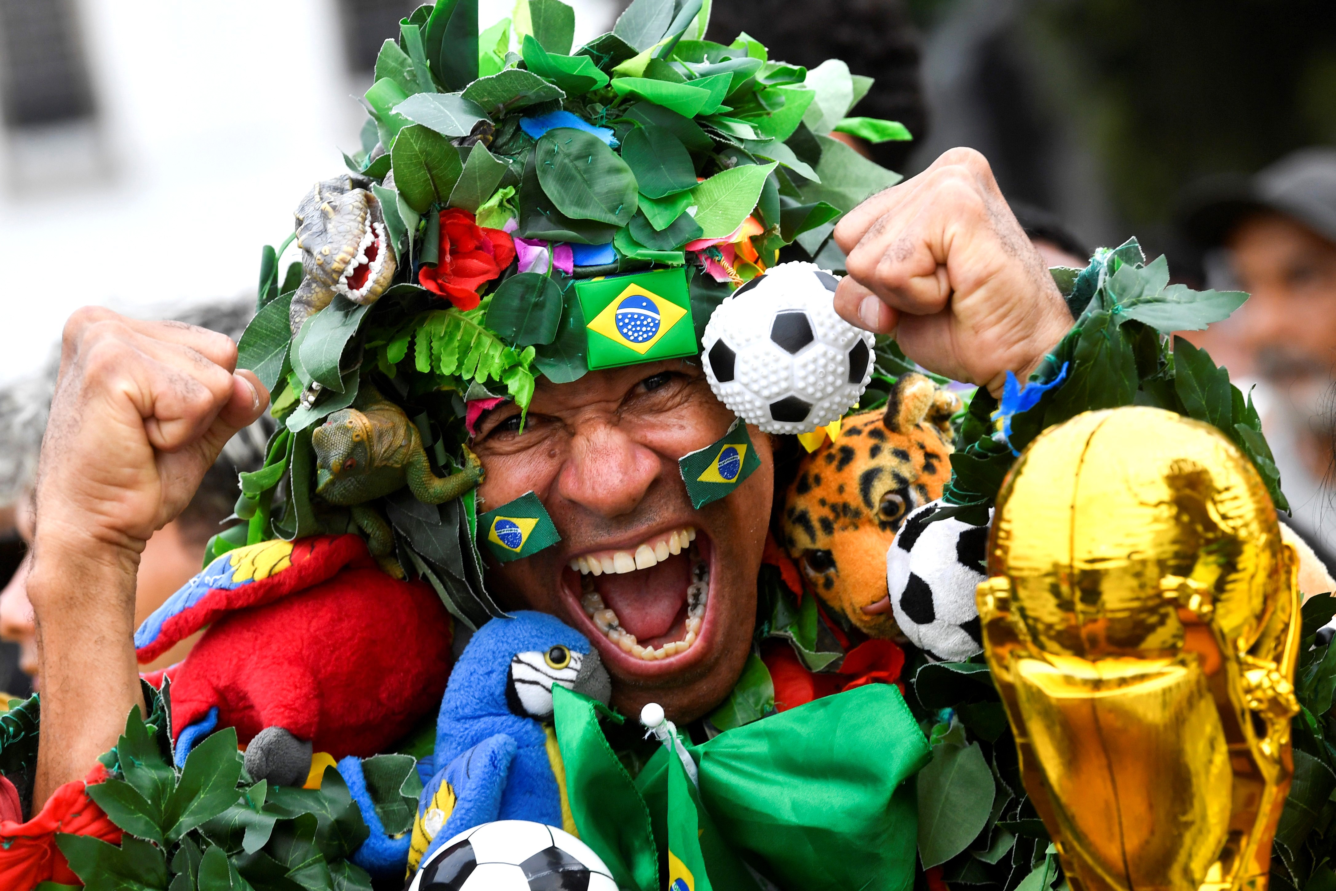 Photos: The Passion of World Cup Fans