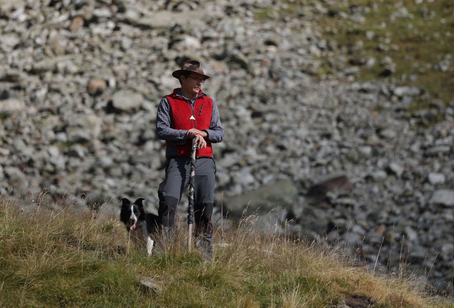 A shepherd wearing gray pants, a red vest, and a brimmed hat stands on a hill beside a sheep dog.