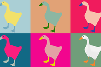 Multicolored illustrations of geese.