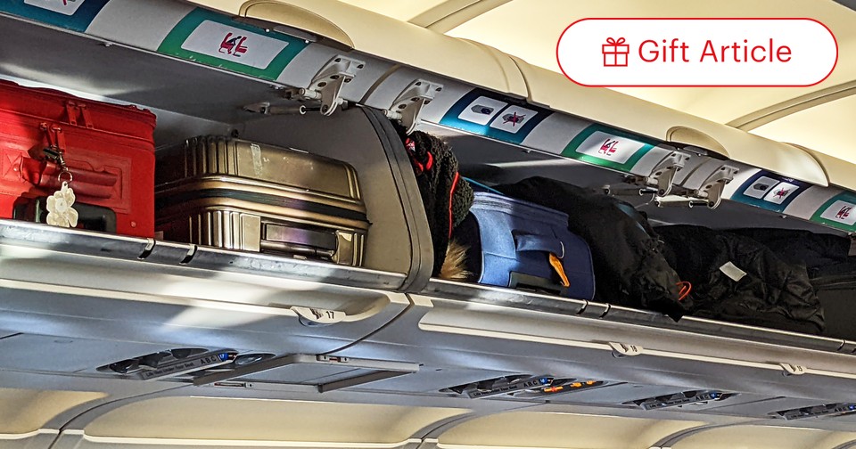 Overhead luggage compartment sales