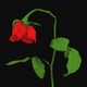 An illustration of a wilted rose against a black backdrop