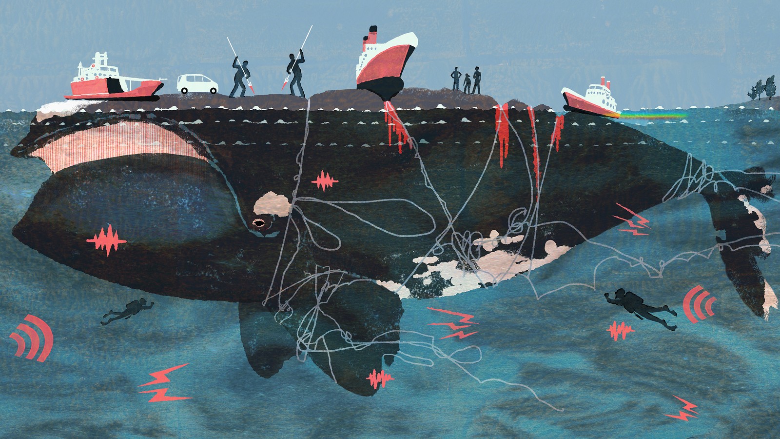 Can The Lobster Industry Save Right Whales? — Nature Links for