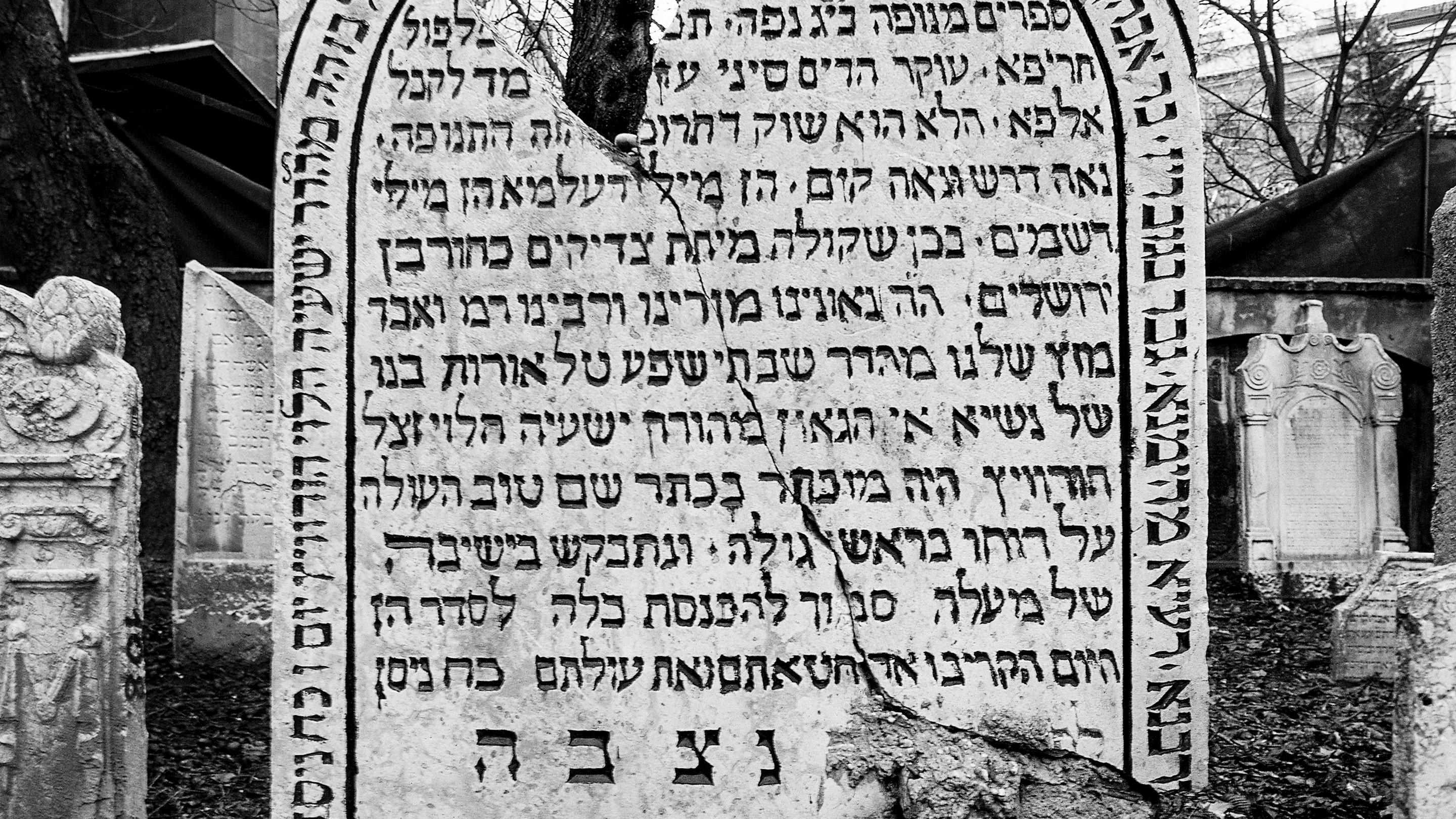 Vienna's Jewish Community Decimated