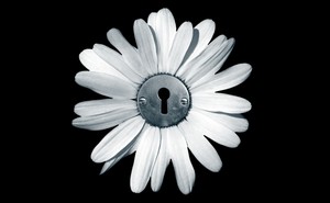 An illustration of a flower with a lock in its center
