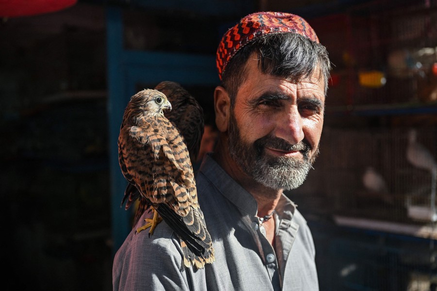 A man stands in an open-air market with with two kestrels on his shoulder.