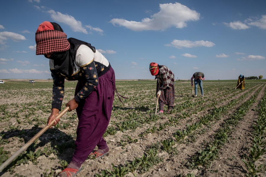 Photos: Drought and Sinkholes Threaten Farmers in Turkey - The Atlantic