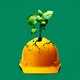 An illustration of a plant growing out of a hard hat.