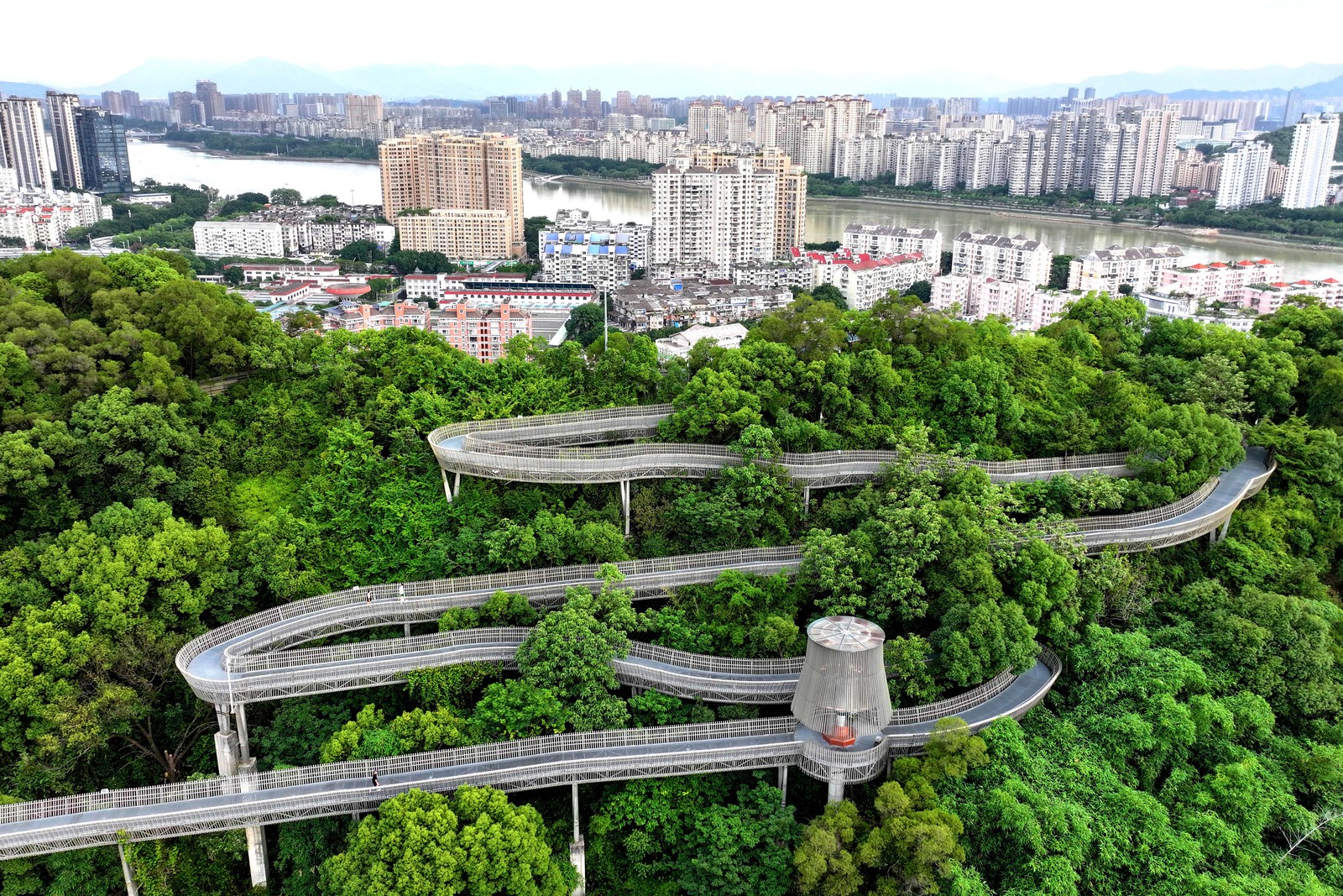 An aerial view of a winding elevated walkway through a forest near city buildings
