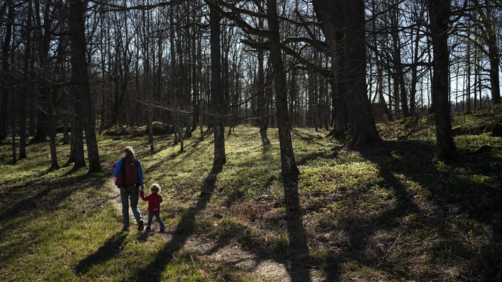 A mother and her child hold hands in a park.