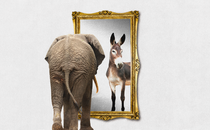 An illustration showing an elephant standing in front of a mirror, seeing a donkey