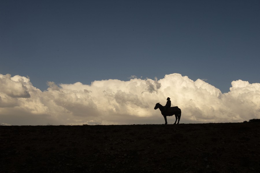 Silhouette of a man riding a horse