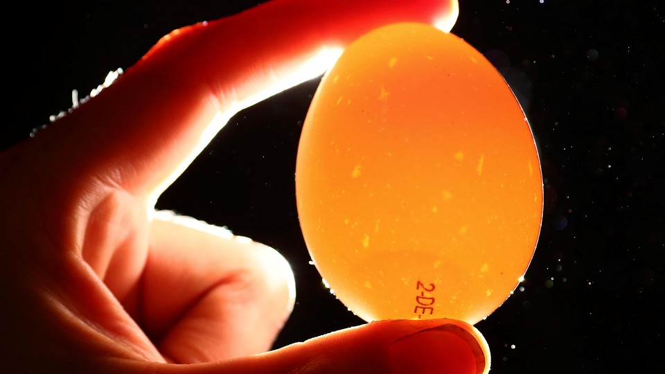 A hand holds a backlit egg.