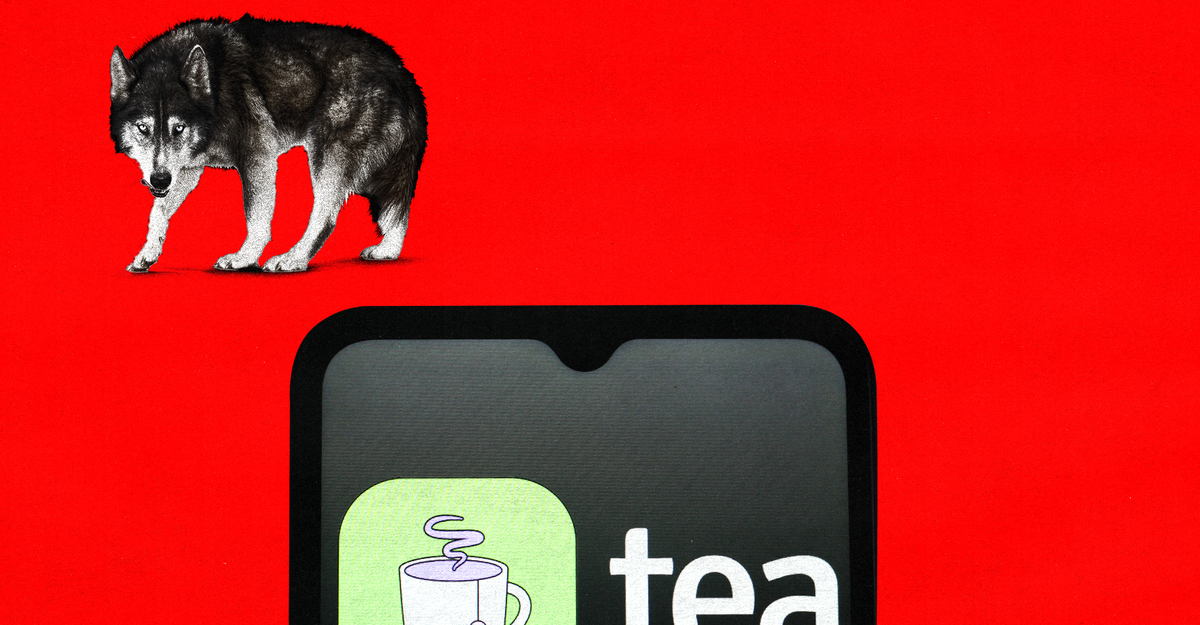 https://cdn.theatlantic.com/thumbor/5bSdbJtB_suhhPlCaAqyWThgFAs=/0x50:2000x1092/1200x625/media/img/mt/2025/07/TeaApp_1/original.png