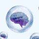 Illustration of brains in bubbles drifting upward