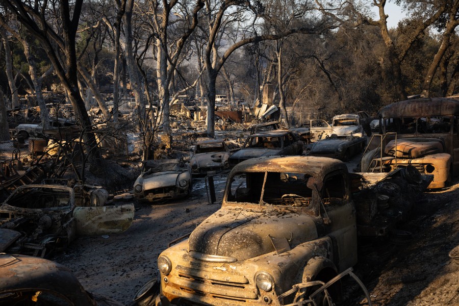 Many burned cars sit among charred trees.