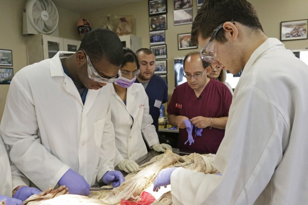 human dissection in medical school