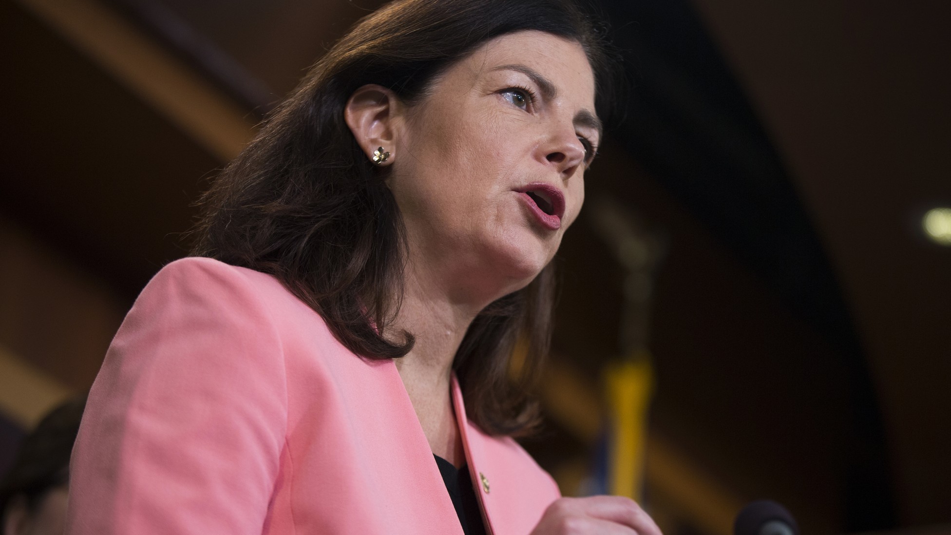 Republican Senator Kelly Ayotte Is Challenged on Guns in Her Reelection ...