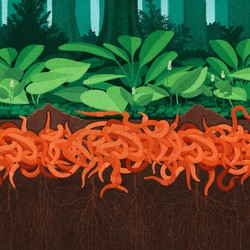 An illustration of a mass of worms beneath a forest.