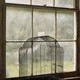 An empty birdcage in front of a window