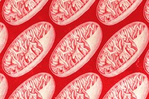 An illustration showing multiple mitochondria