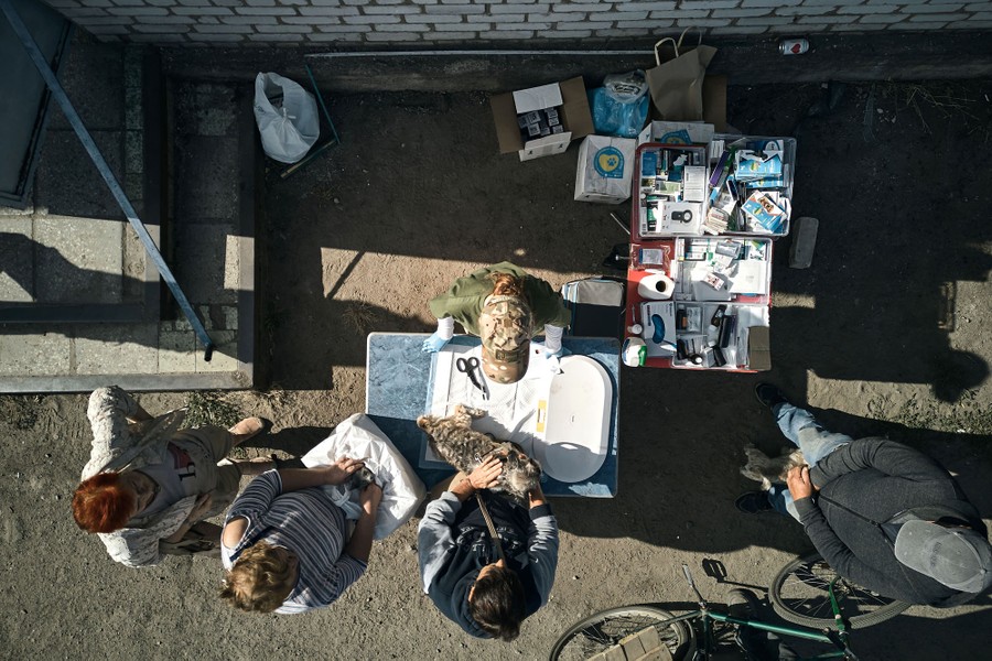 A top-down view of several people standing around a table staffed by a volunteer veterinarian